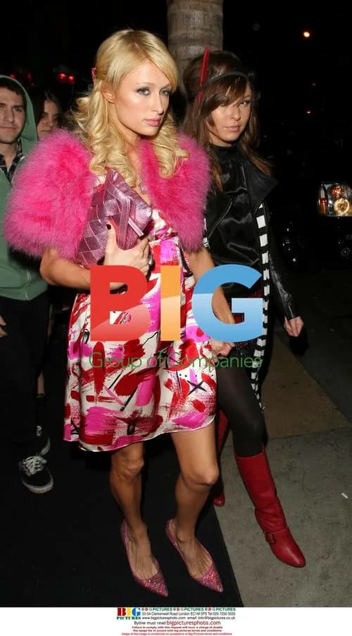 Paris Hilton enjoys night out with BFF