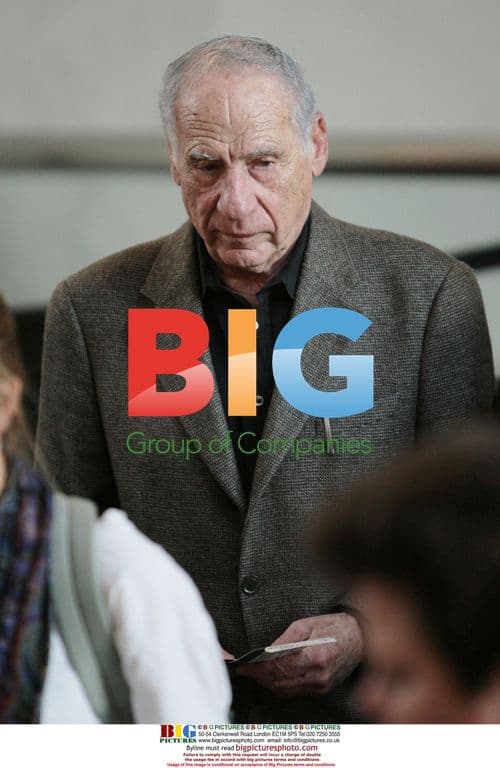 Mel Brooks Departs LAX Airport, Los Angeles