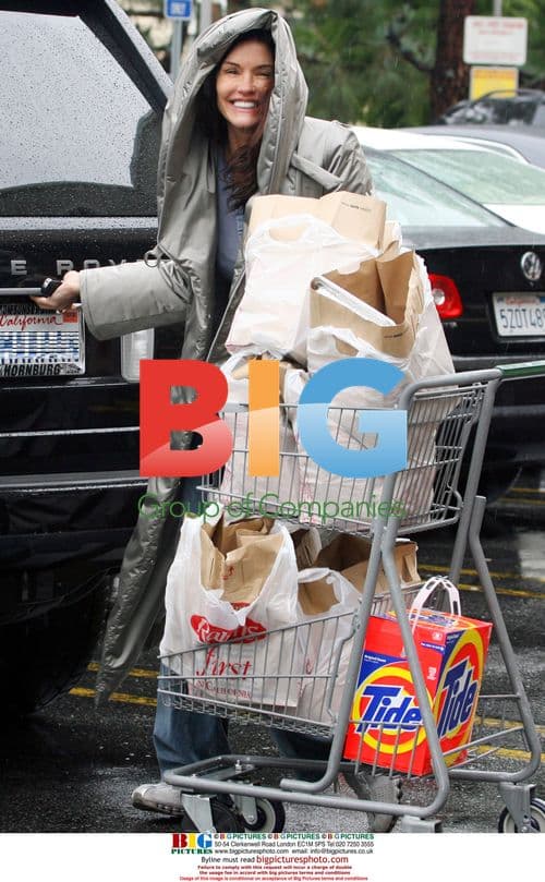 Janice Dickinson grocery shopping in LA