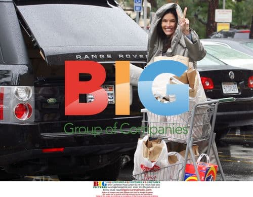 Janice Dickinson grocery shopping