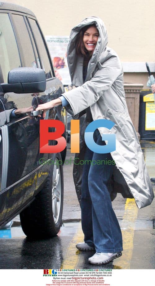 Janice Dickinson Grocery Shopping in LA