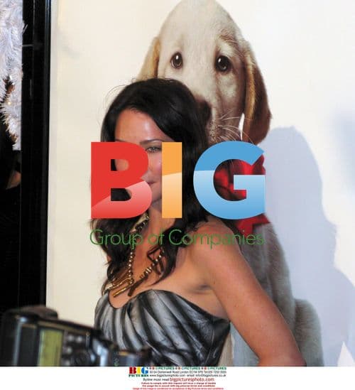 Lynn Collins at Marley and Me Premiere