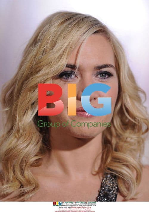 Kate Winslet at "Revolutionary Road" Premiere