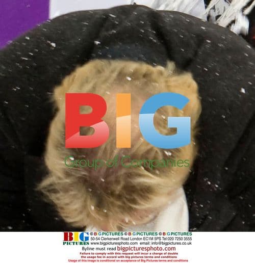 Celebs Throw Snowballs at Covent Garden