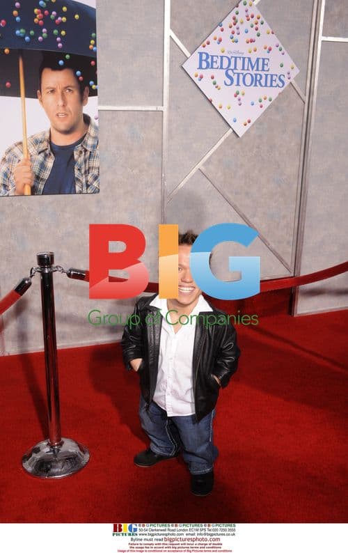Mikey Post at "Bedtime Stories" premiere