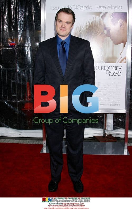 David Harbour at "Revolutionary Road" Premiere