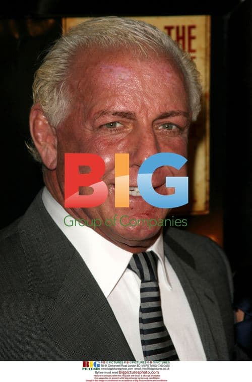 Ric Flair at 'The Wrestler' Premiere