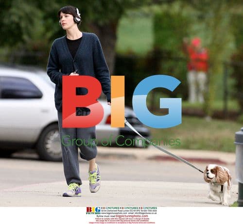 Liv Tyler strolls with dog in LA