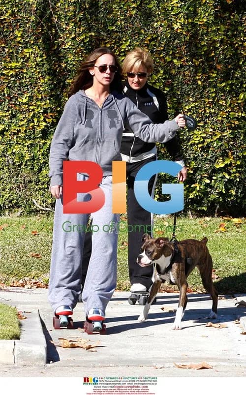 Jennifer Love Hewitt roller skates with friend and dog