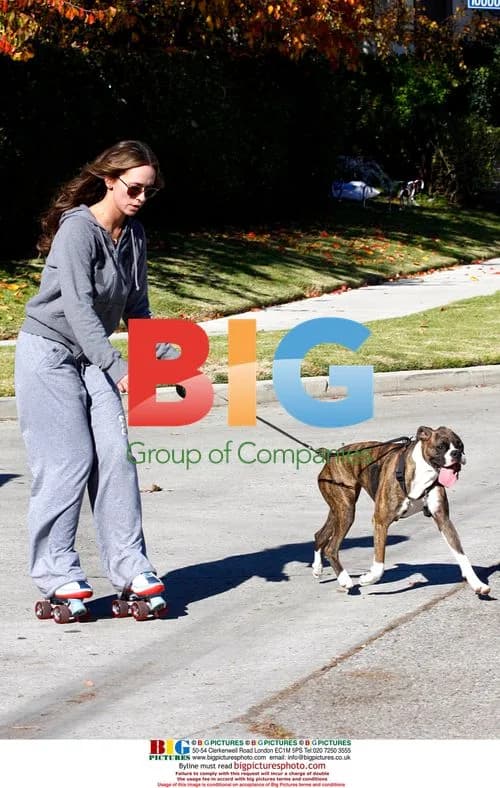 Jennifer Love Hewitt roller skates with friend and dog
