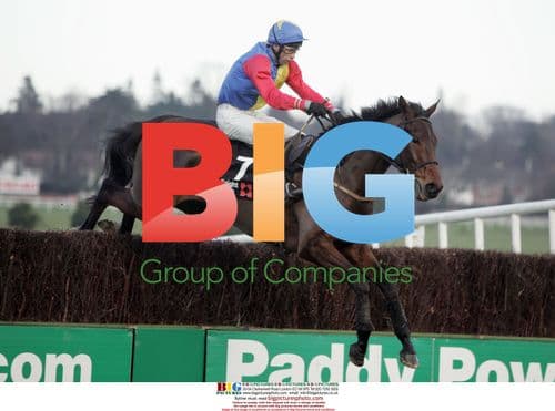 Lexus Chase Meeting - Trafford Lad ridden by Tom Doyle