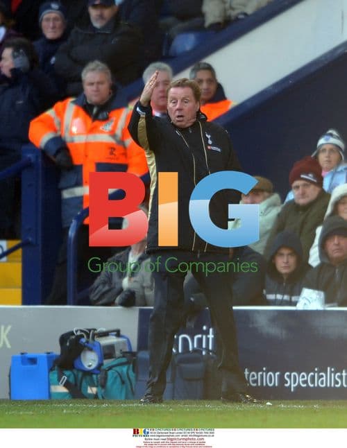 Harry Redknapp Tottenham manager