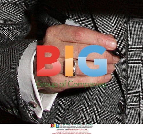 Angelina Jolie and Brad Pitt arrive at film festival