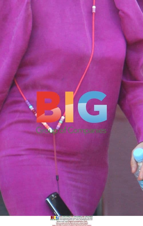 Bjork arrives for Big Day Out in Australia