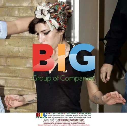 Amy Winehouse steps out of rehab