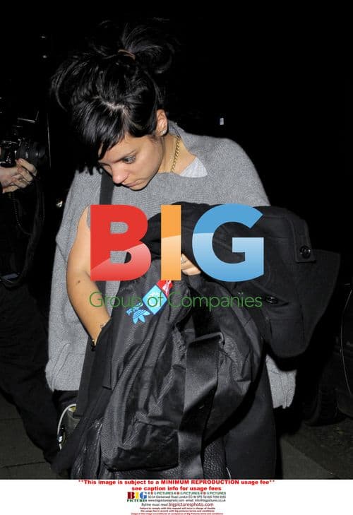 Lily Allen Receives Parking Ticket