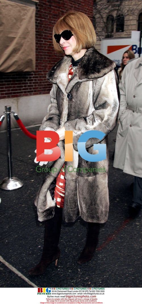 Anna Wintour at Oscar de la Renta Fashion Show