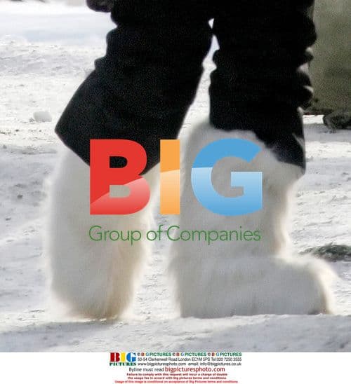 Renee Zellweger Braves Winnipeg Cold