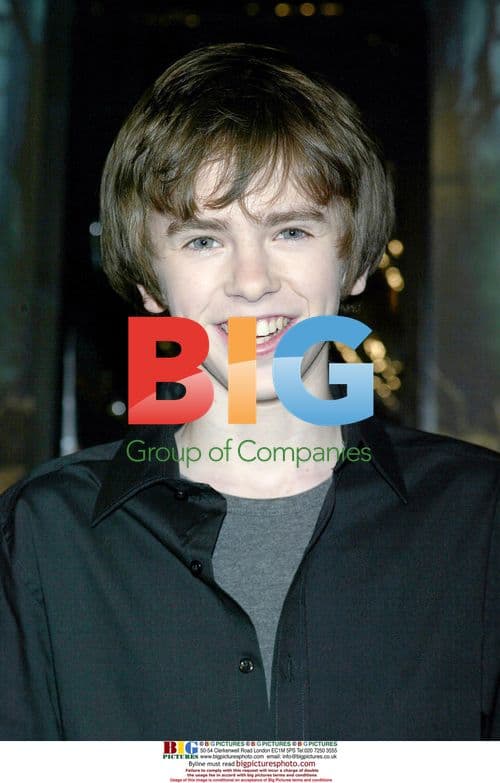 Freddy Highmore at "The Spiderwick Chronicles" premiere