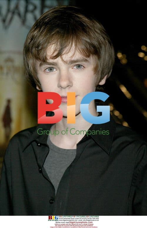 Freddy Highmore Arrives for "The Spiderwick Chronicles" Screening