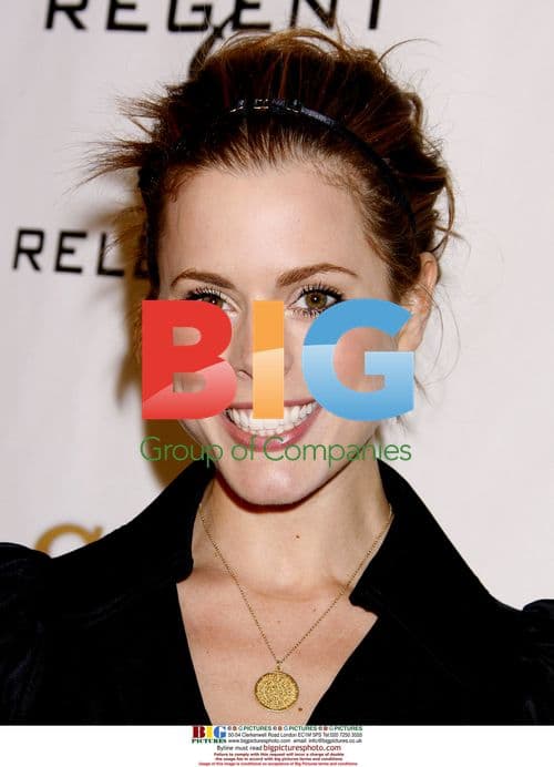 Erin Cardillo at "The Hottie & The Nottie" Premiere