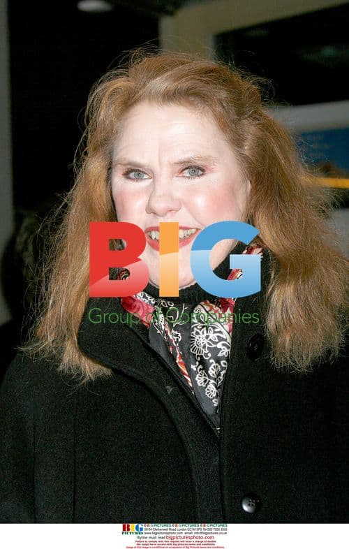 Celia Weston attends 'In Bruges' premiere