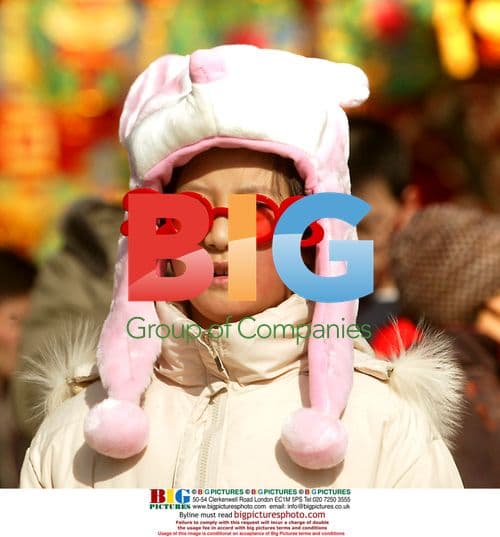 Chinese New Year Celebrations in Beijing