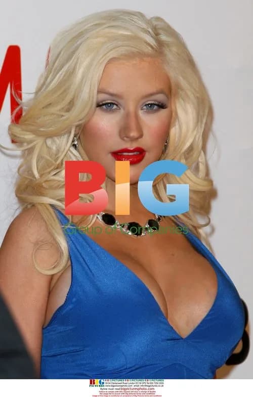 Christina Aguilera at LACMA Art Museum Opening