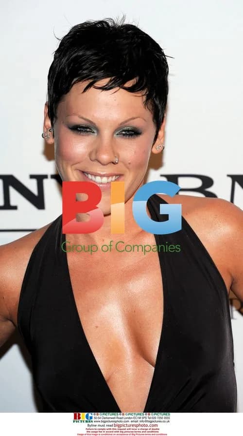 Pink at Clive Davis Pre-Grammy Party