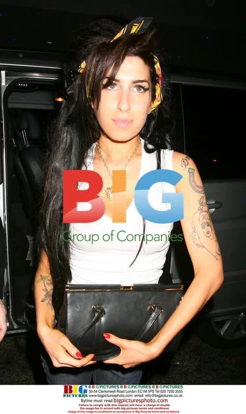 Amy Winehouse Returns to Hotel