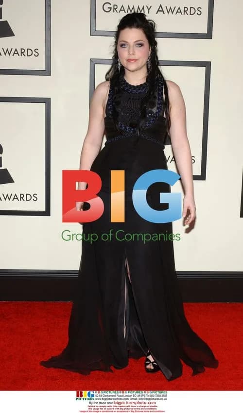 Amy Lee at 50th Annual Grammys