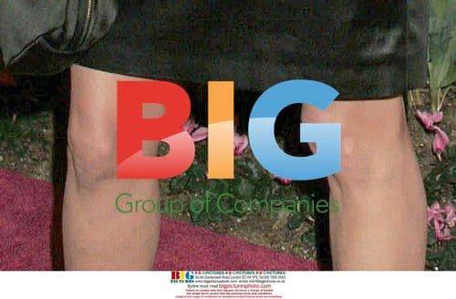 Teri Hatcher at Keep Memory Alive Charity Gala