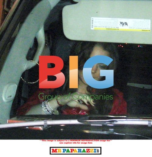 Lindsay Lohan and Adrian Grenier at S Bar