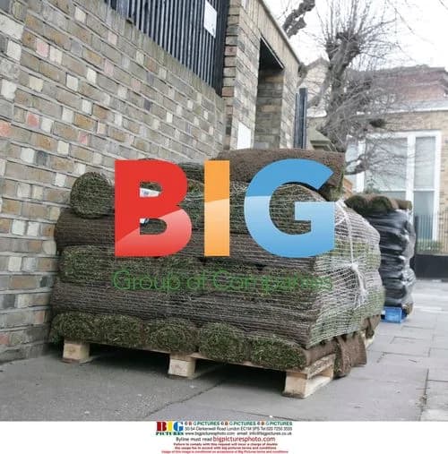 Kate Moss Gets Grass Delivered