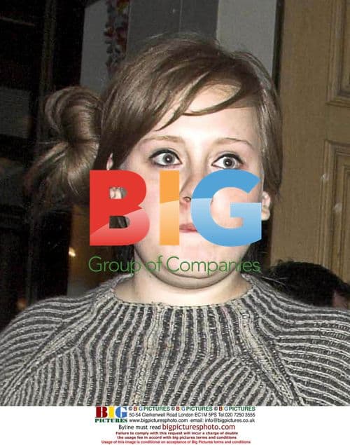 Adele at Hadley Freeman book launch