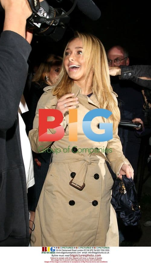 Hayden Panettiere Leaves Valentine's Dinner