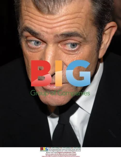 Mel Gibson Impressed by Interviewer's Cleavage