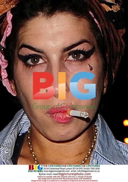 Amy Winehouse Gets Out of Car to Talk to Security