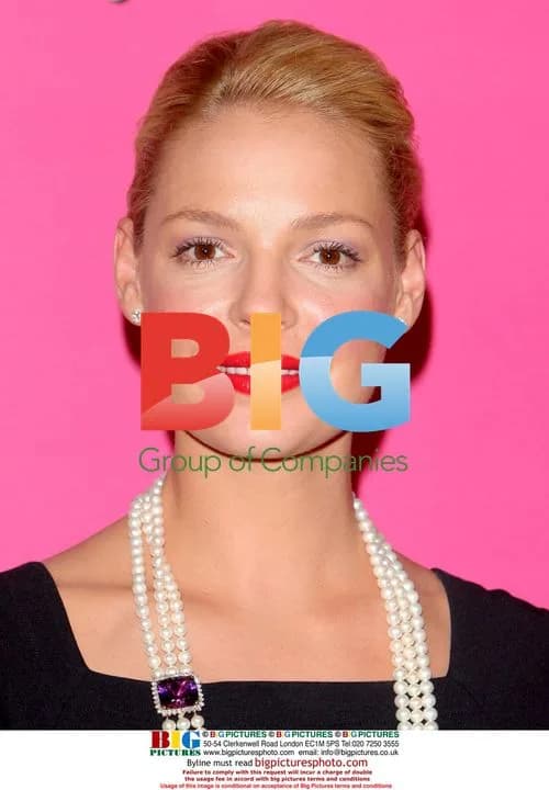 Katherine Heigl at 27 Dresses Photocall