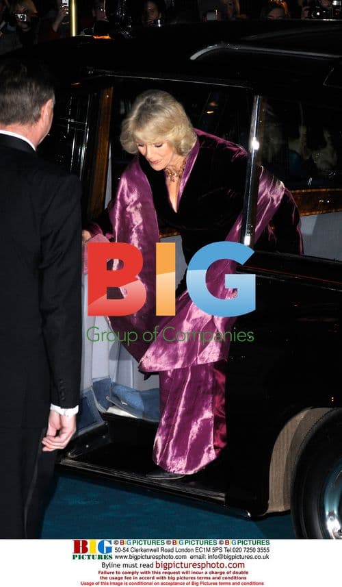 Royal Film Premiere 2008 - "The Other Boleyn Girl"