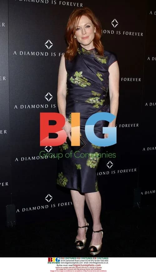 Julianne Moore at DIC private dinner