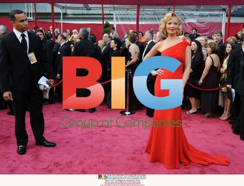 Katherine Heigl at 80th Annual Oscars