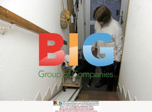 Bulldog Henry's Custom Staircase Lift