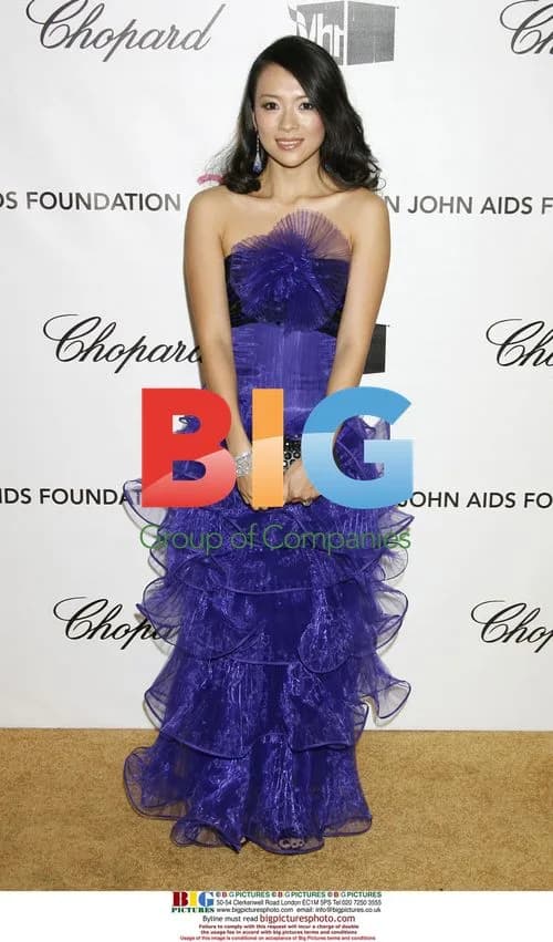 Ziyi Zhang at Elton John Oscar Party