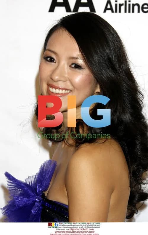 Ziyi Zhang at Elton John AIDS Foundation Oscar Party
