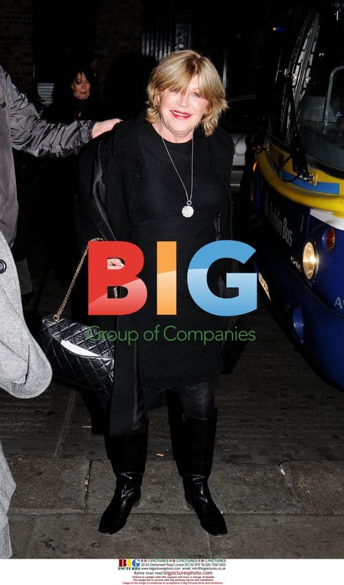 Marianne Faithfull at 'Irina Palm' Premiere