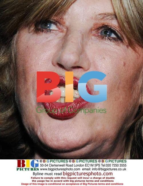 Marianne Faithfull at Dublin Film Festival Premiere