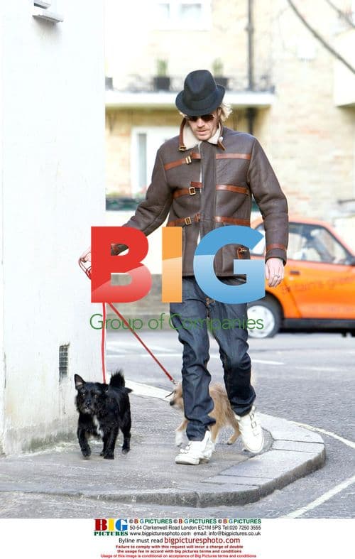 Rhys Ifans walks Sienna's dogs in London