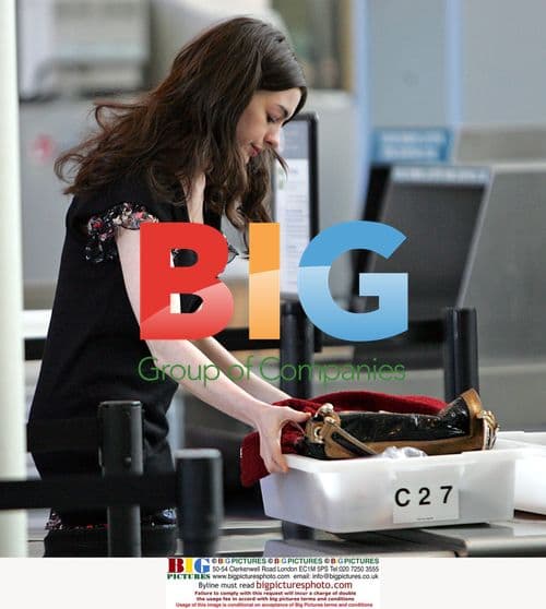 Anne Hathaway Departs LAX with Pup and Boyfriend