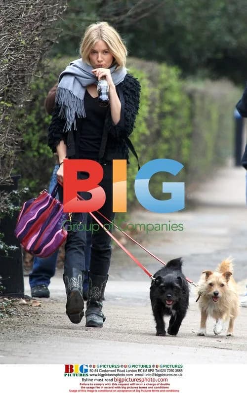 Sienna Miller walks dogs in London